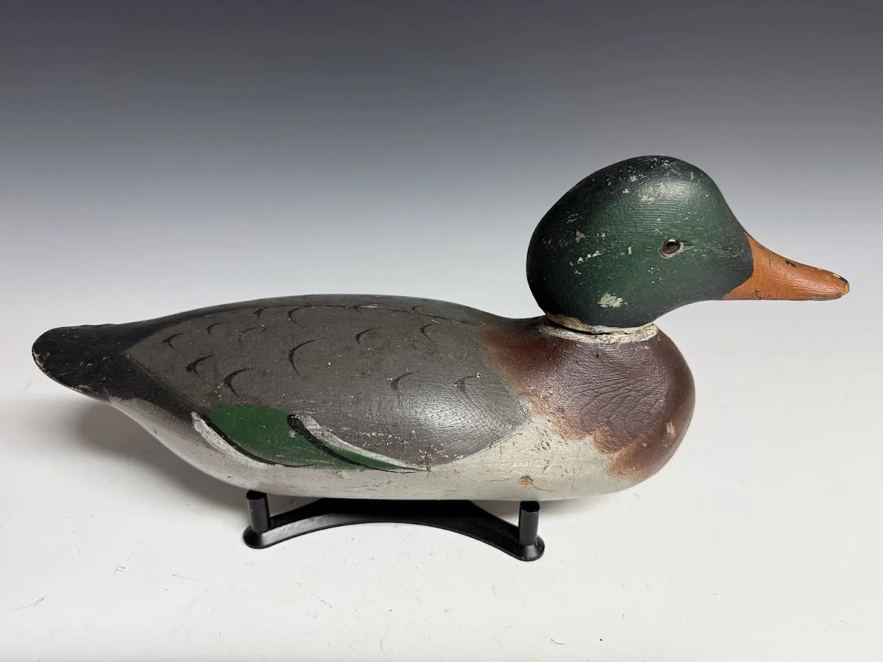 5_15_26_MallardDrake1.jpg