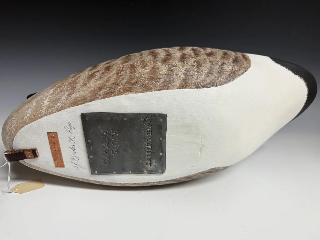 7_18_25_BirdsallCanadaGoose4.jpg