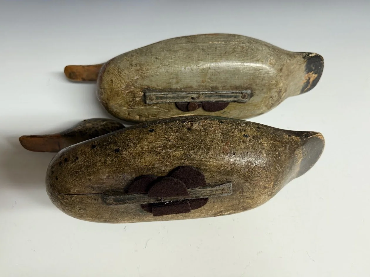 5_15_26_MallardBBPair4.jpg