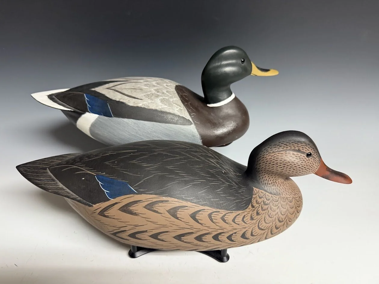 7_18_25_AllsoppMallards2.jpg