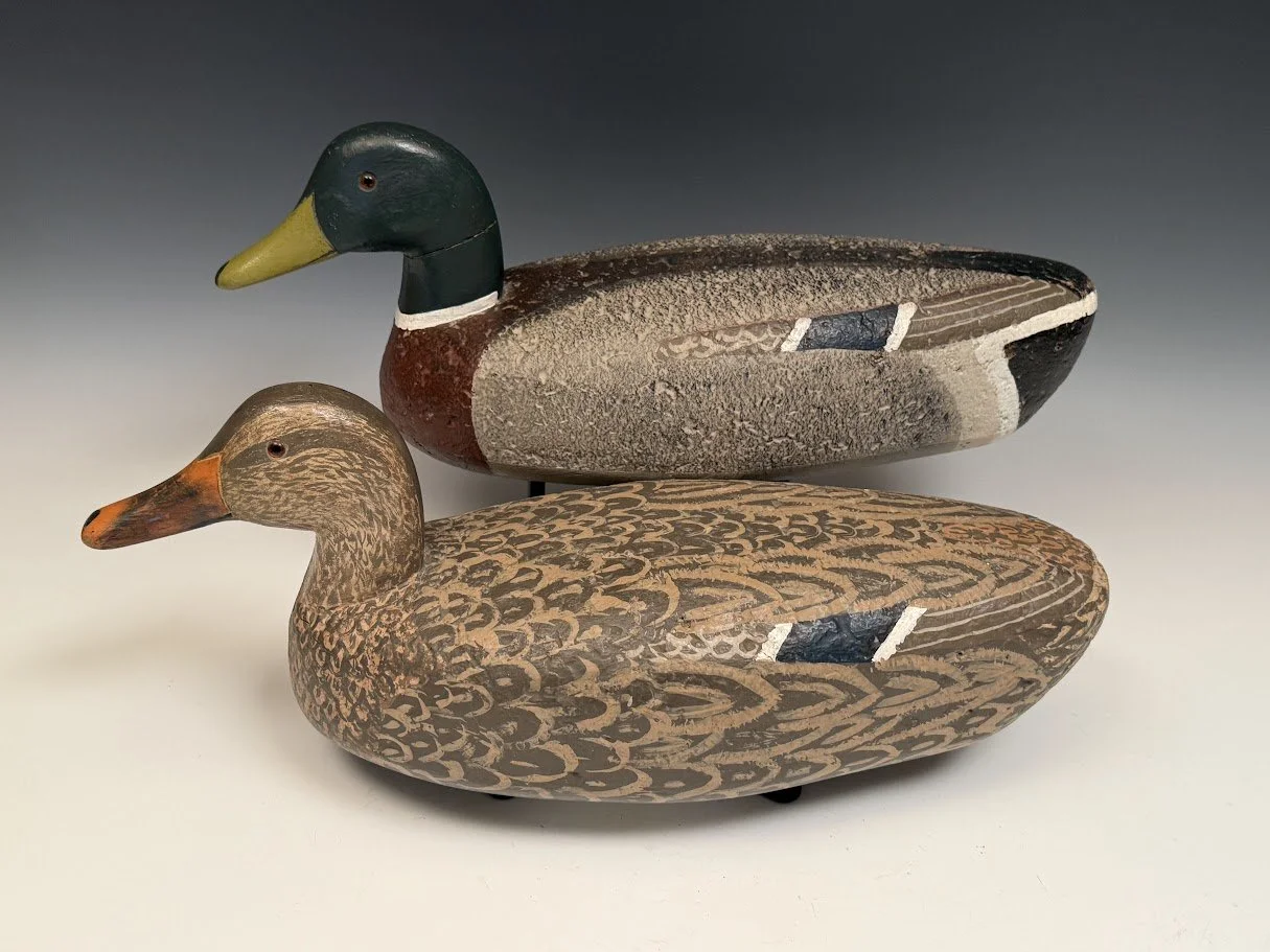 10_12_26_GoudswardMallards2.jpg