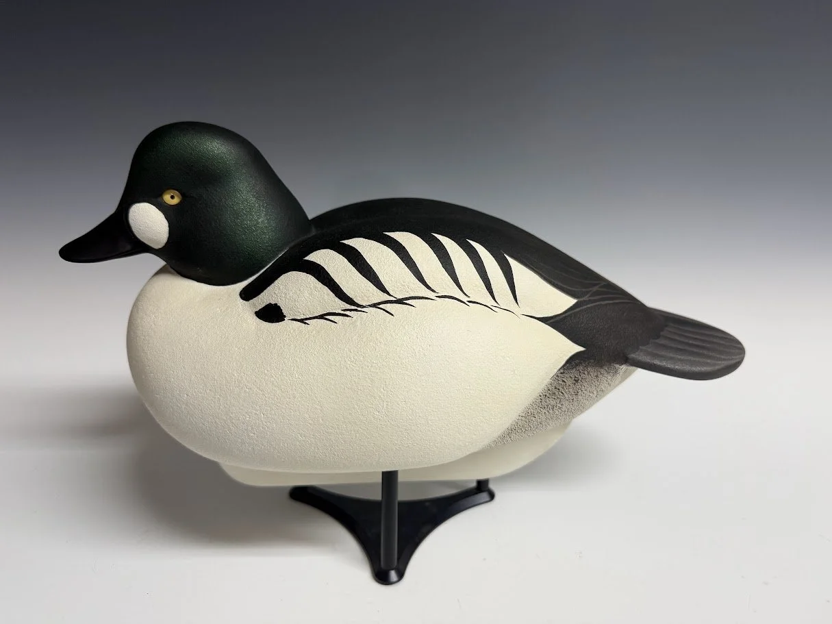 8_27_26_GJB_Goldeneye1.jpg