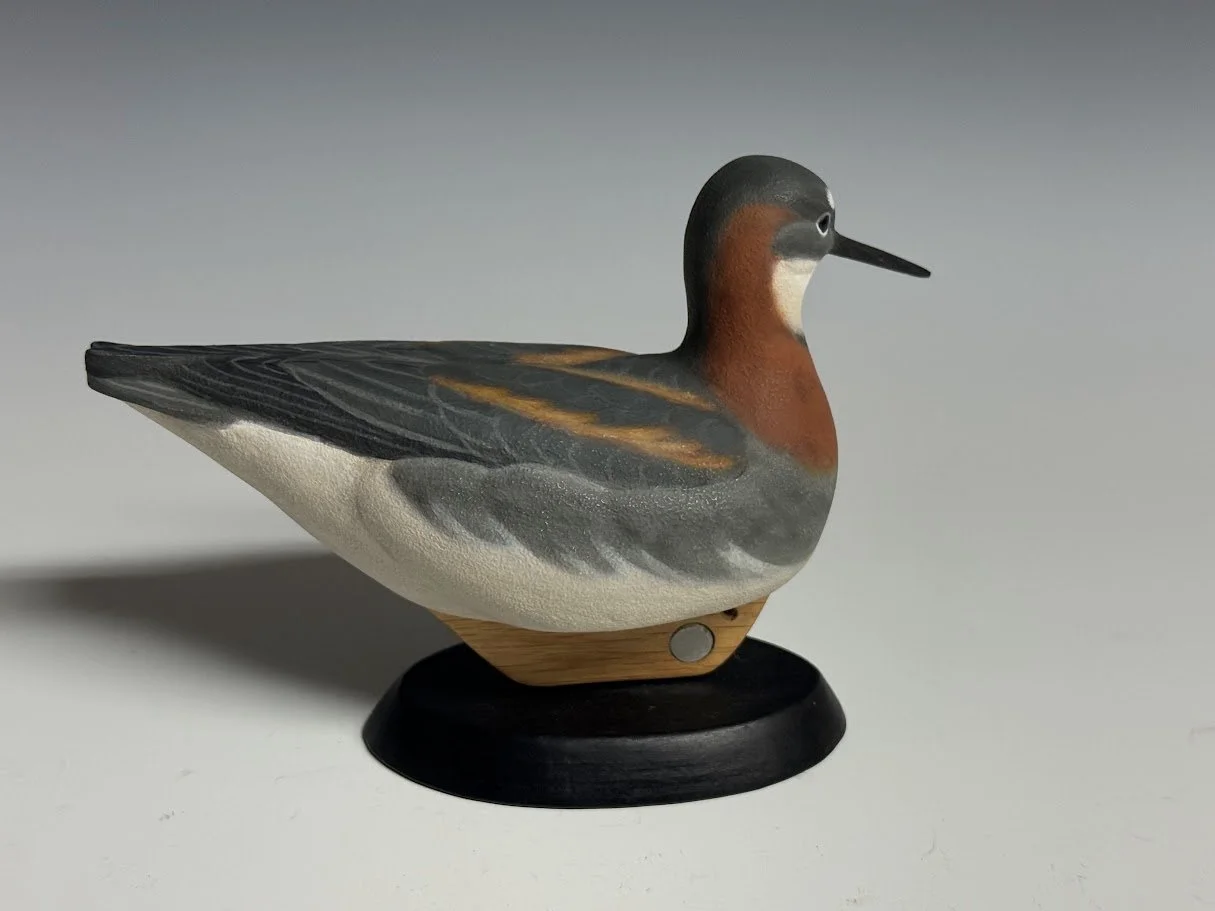 9_10_26_PeterKauneRedNeckedPhalarope_103_2.jpg