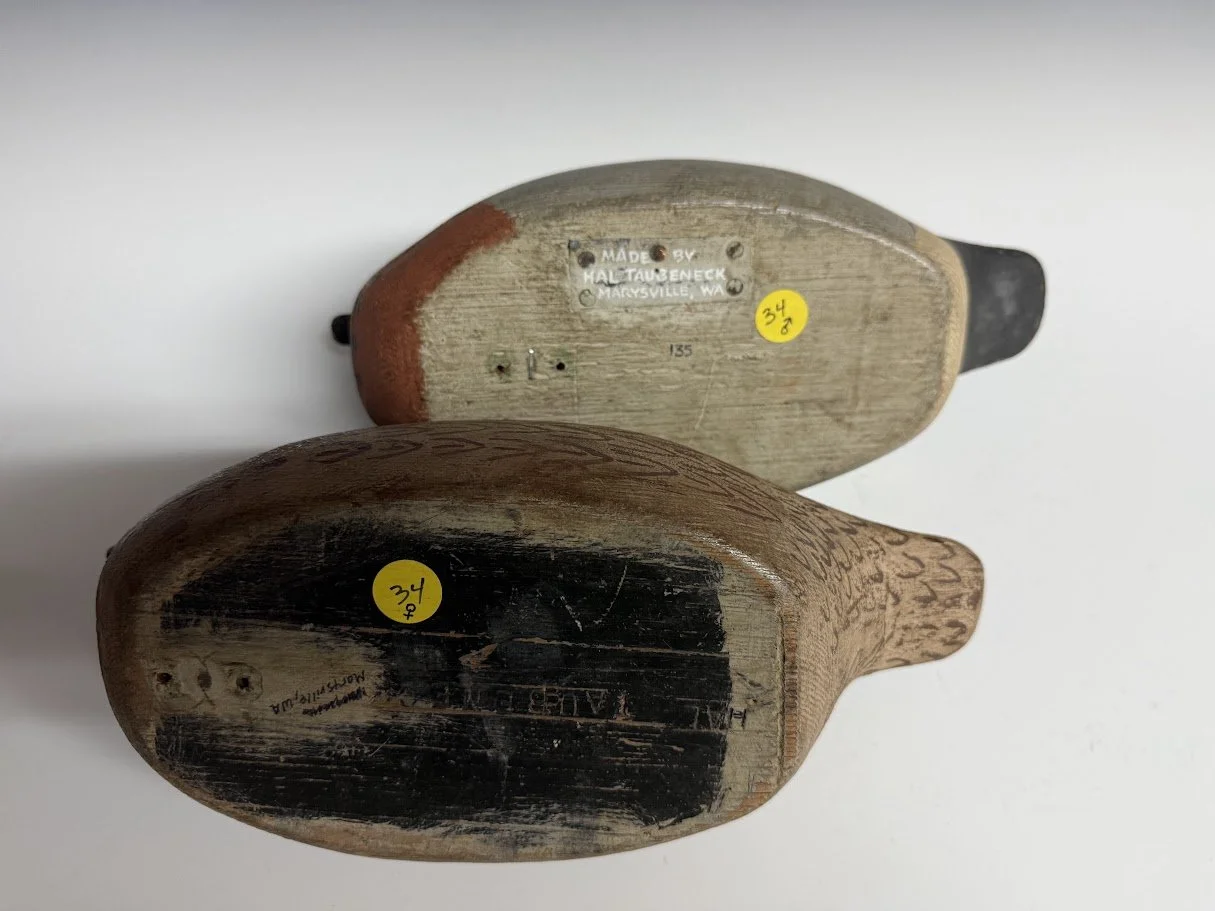 10_6_26_TaubeneckGWTPair4.jpg
