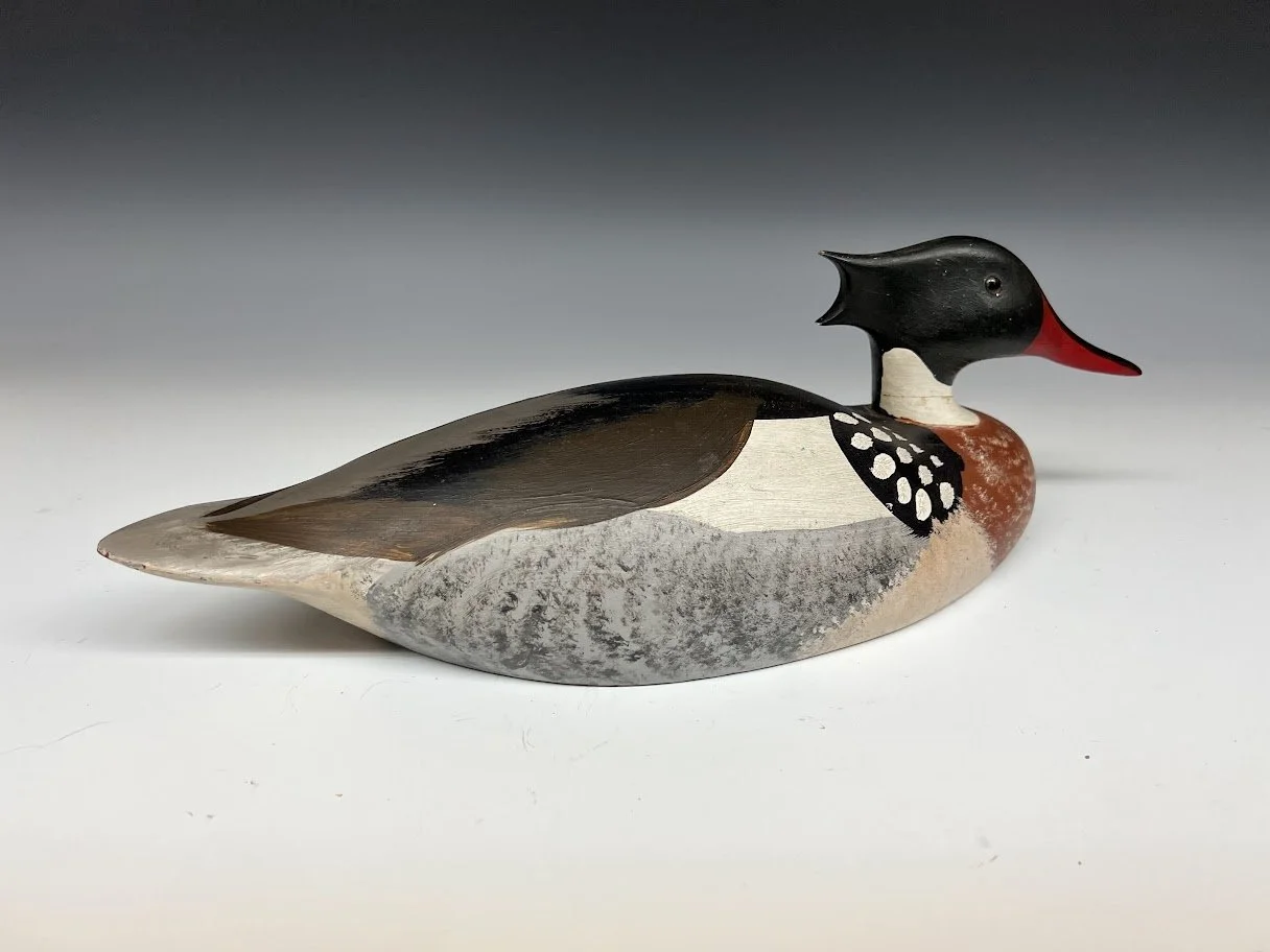 7_30_22_SnyderRBMerganser1.jpg