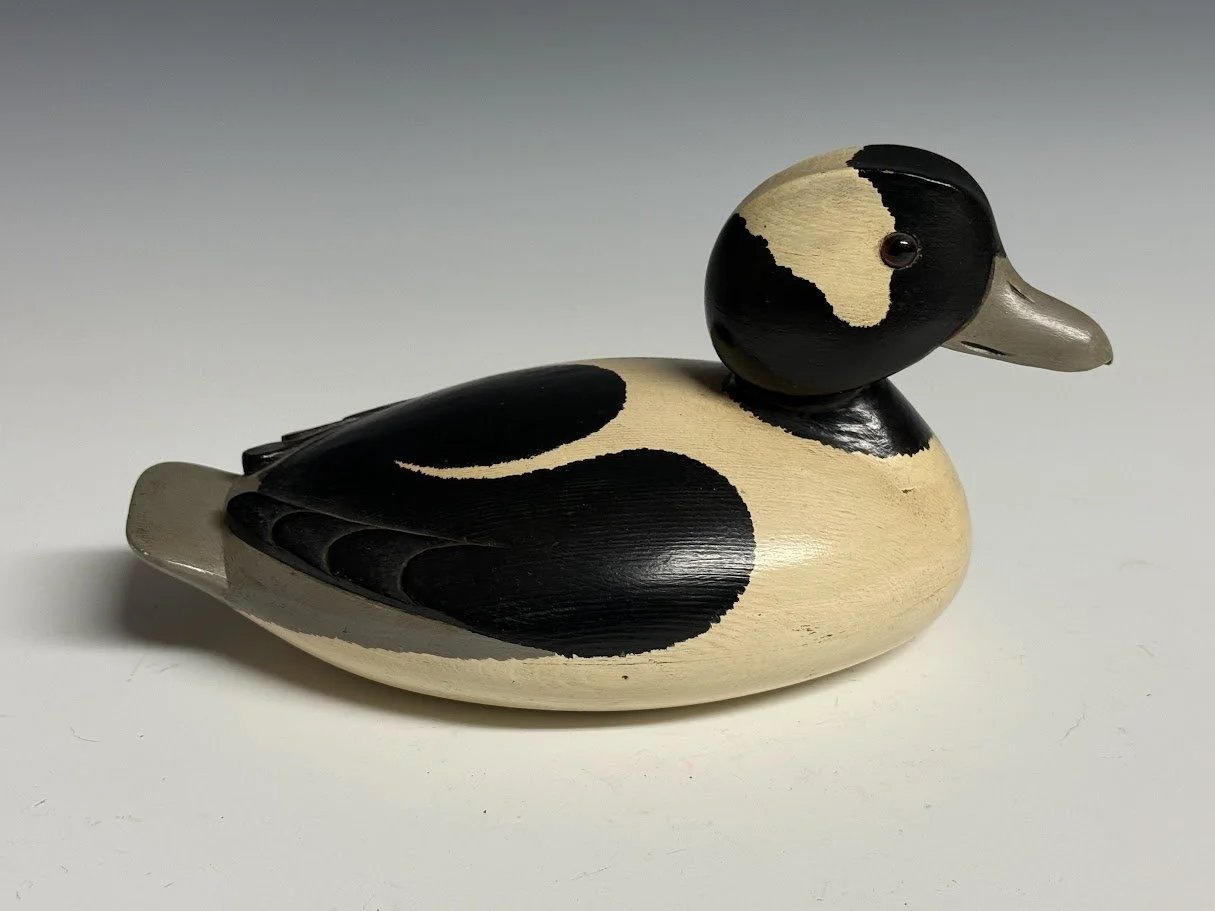 9_10_26_DelSmithBufflehead_43_1.jpg