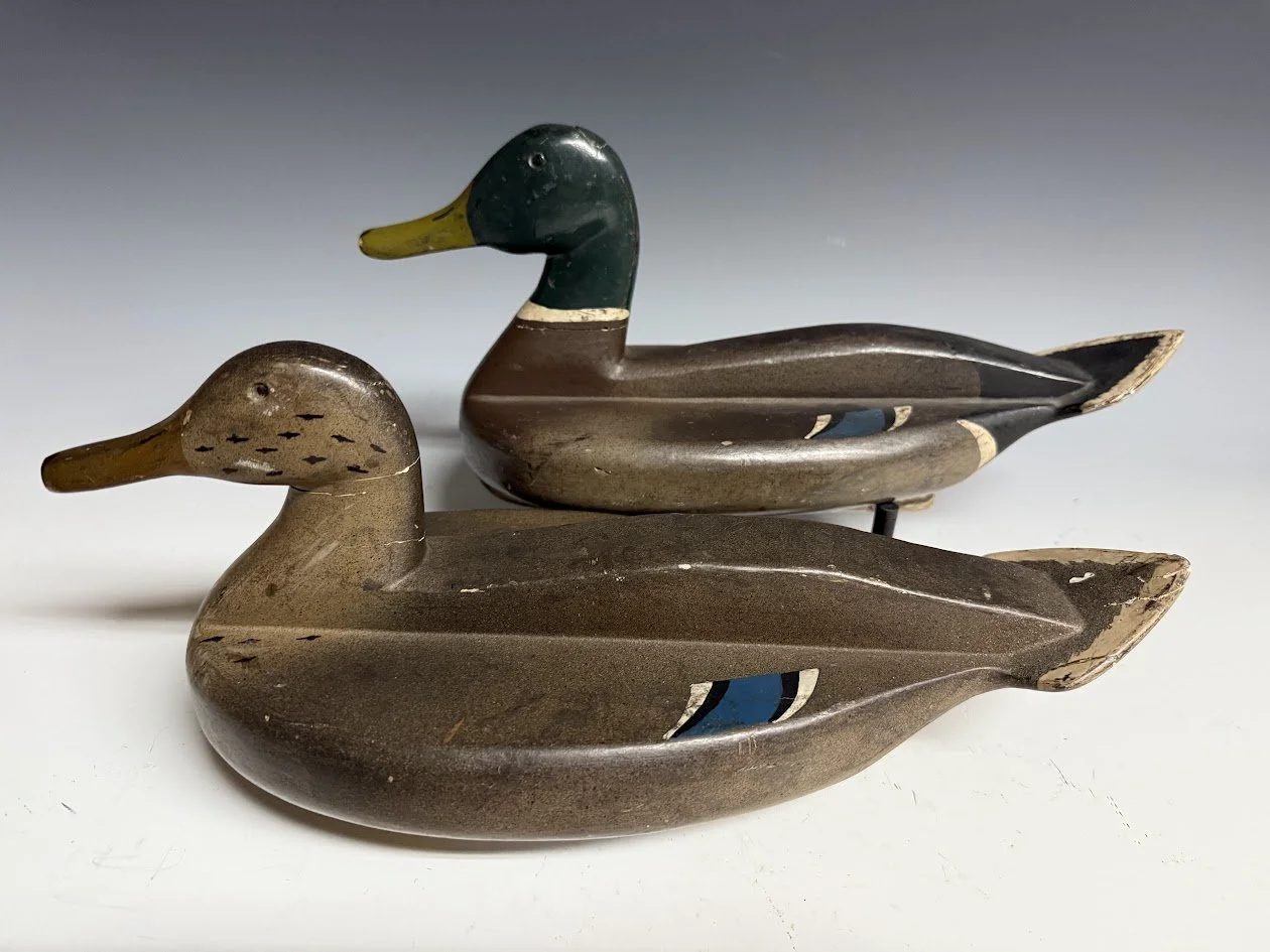8_19_25_DavisMallards3.jpg