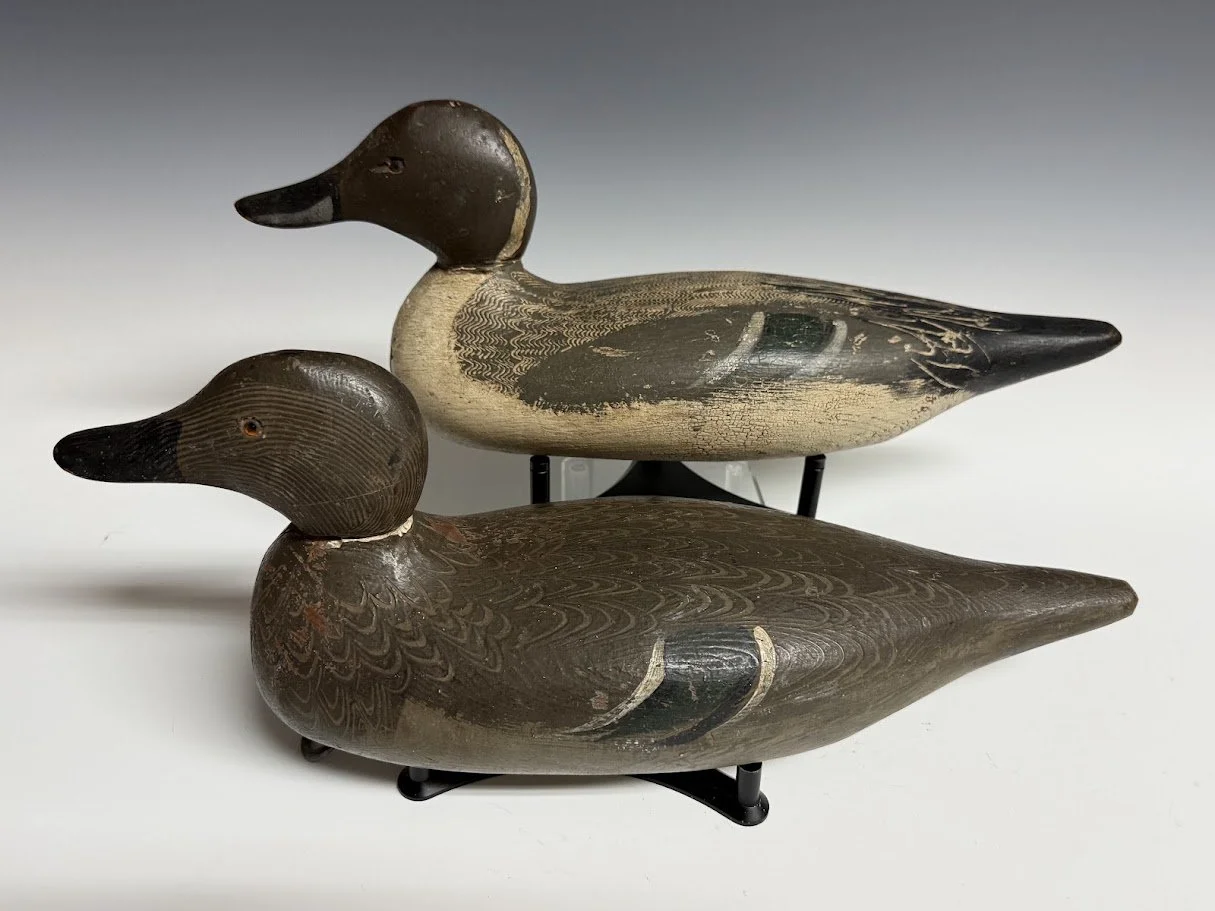 10_10_26_TulePintails6.jpg
