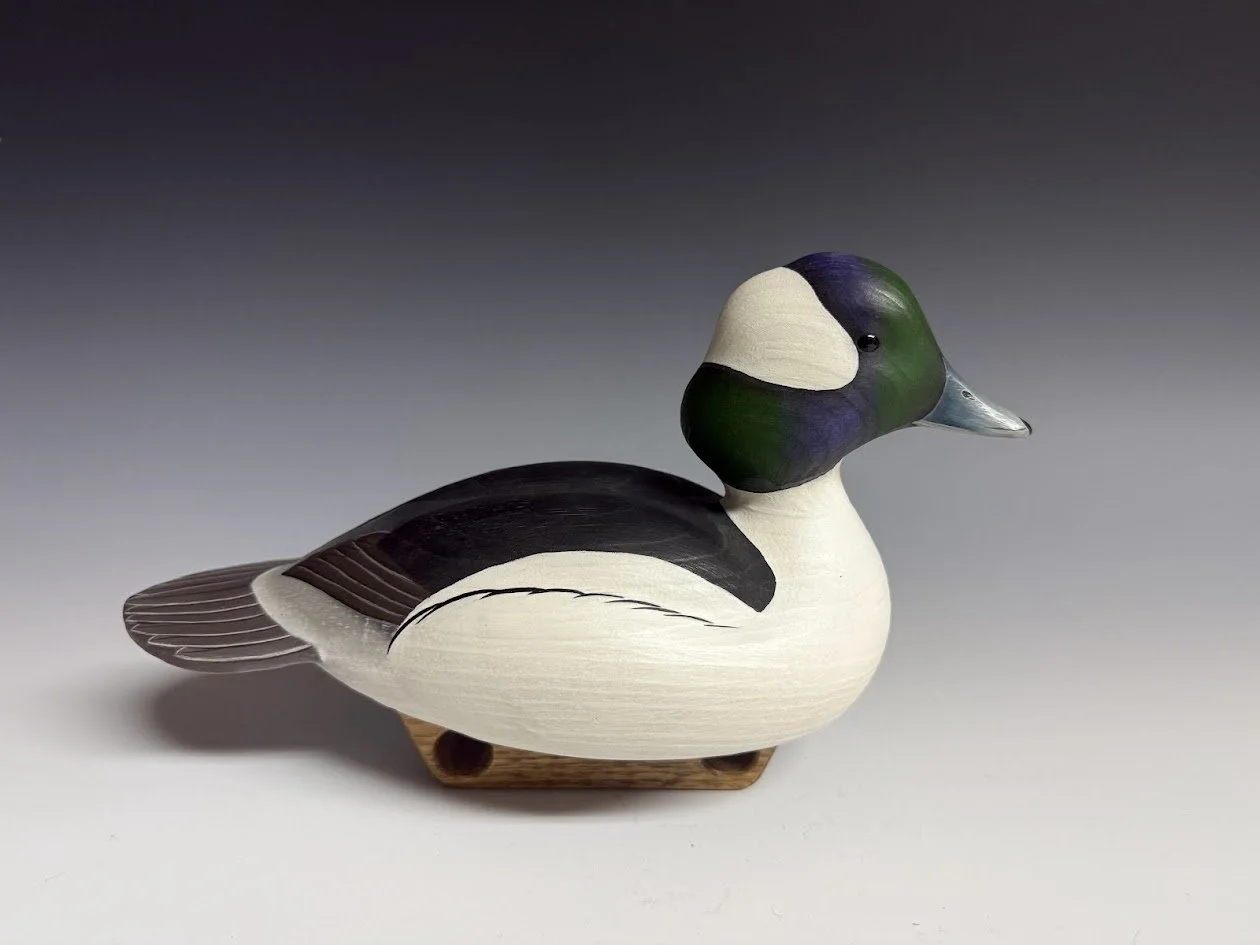 2_10_26_Bufflehead_1.jpg