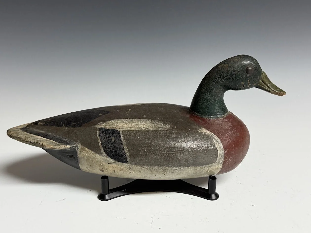 4_18_26_ReisingerMallard1.jpg