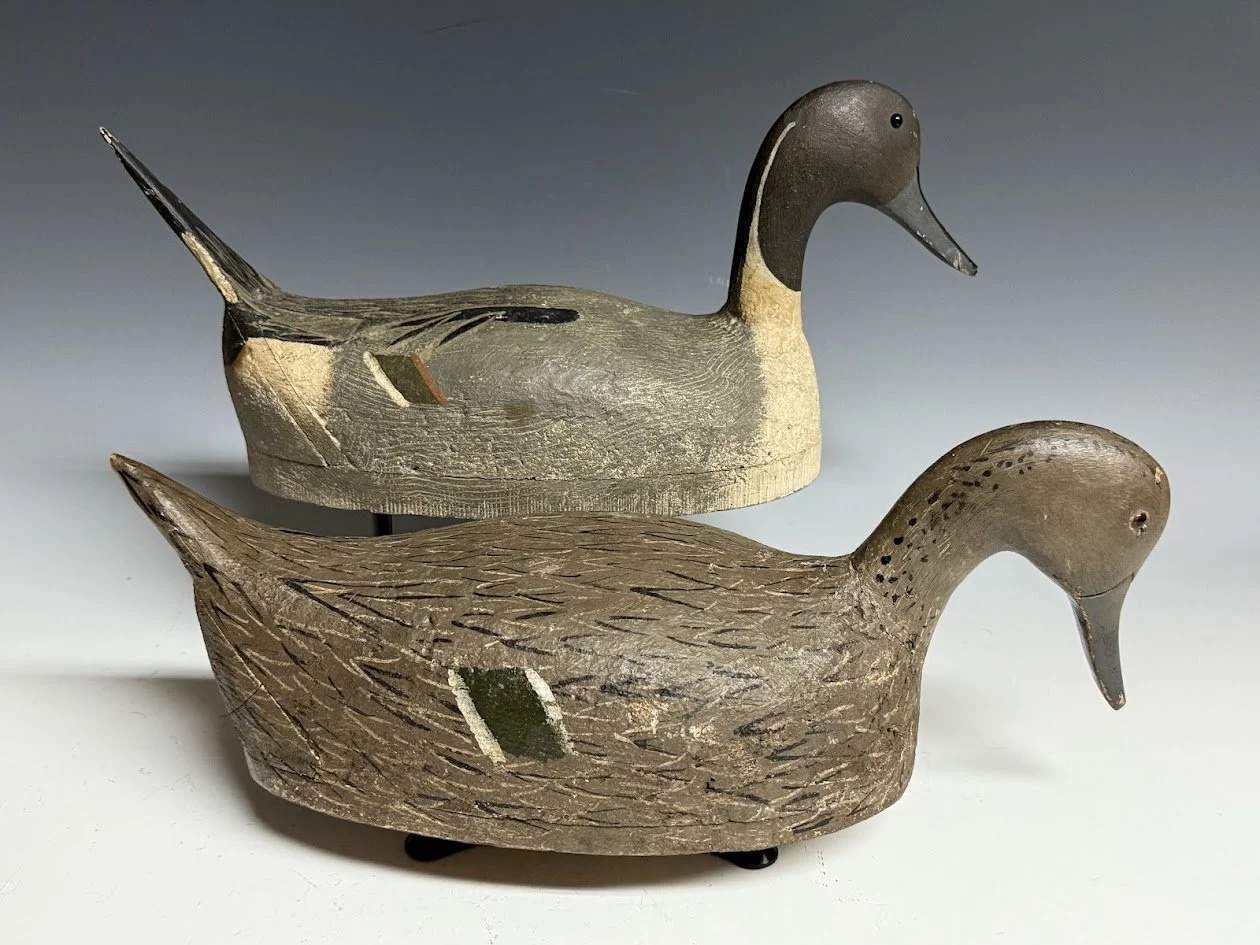 8_22_25_FuhrmannPintails4.jpg