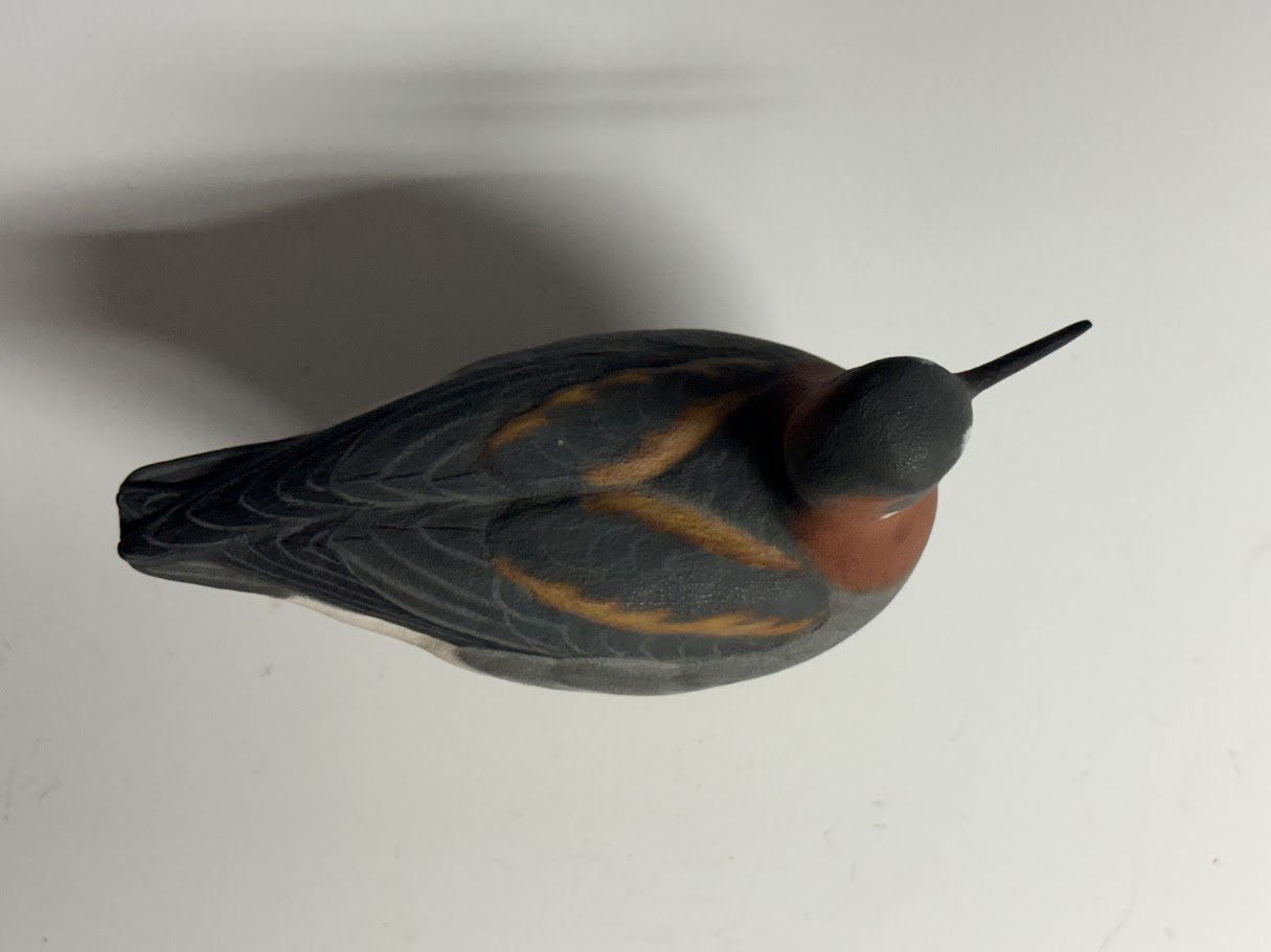 9_10_26_PeterKauneRedNeckedPhalarope_103_3.jpg