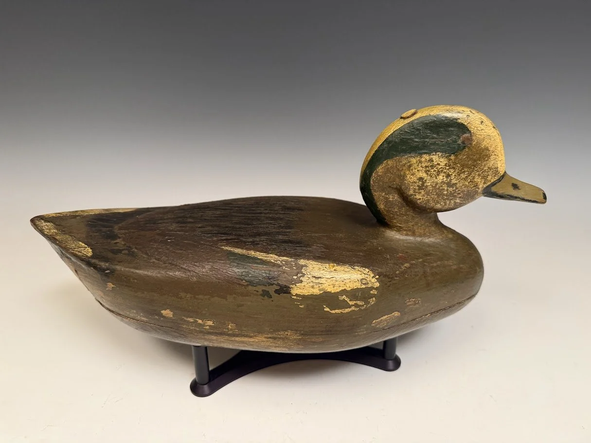 10_17_26_FinnellWigeon1.jpg