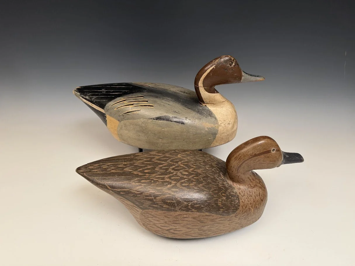 10_12_26_GoudswardPintails2.jpg