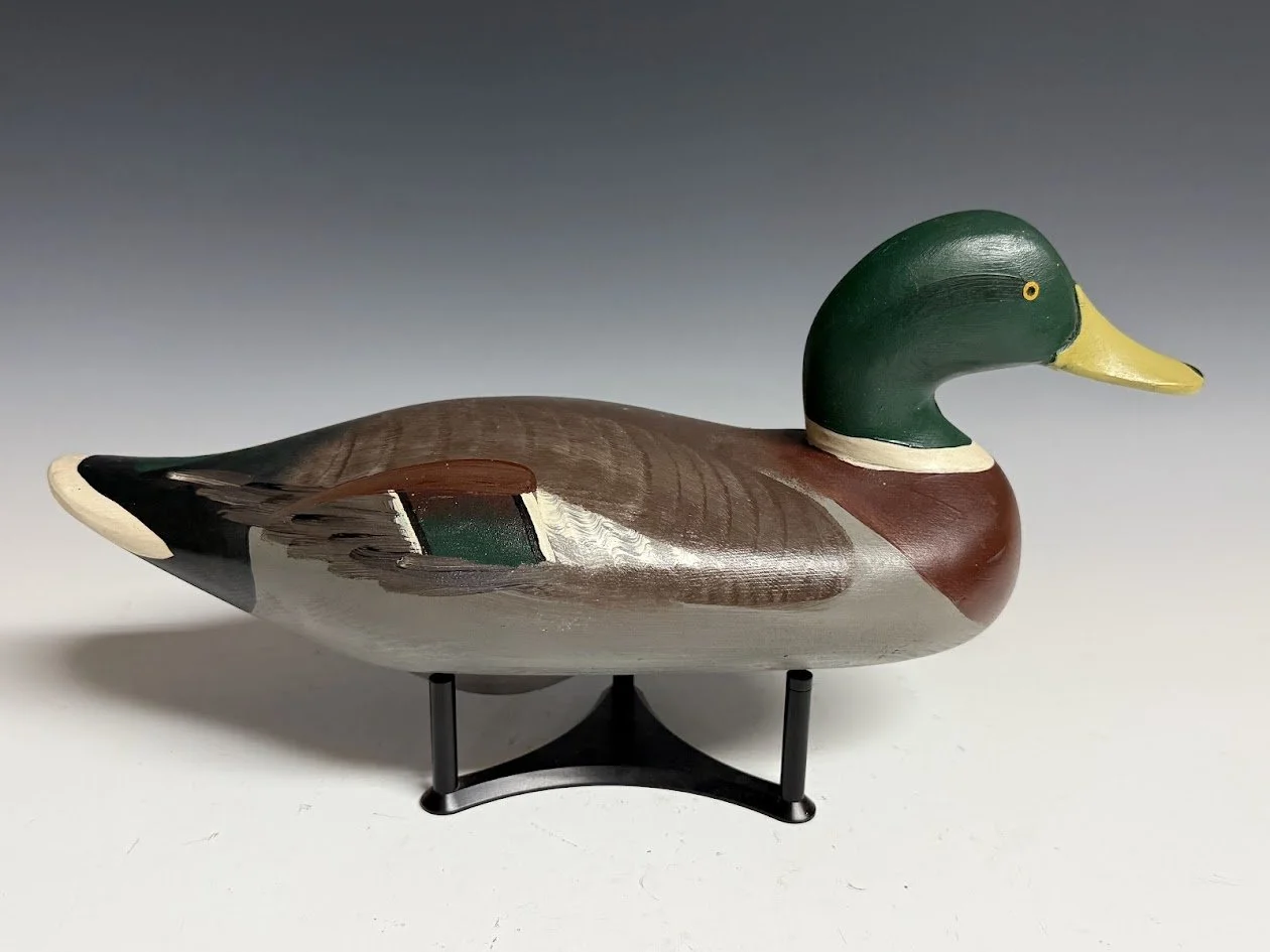 5_12_26_MMmallard1.jpg