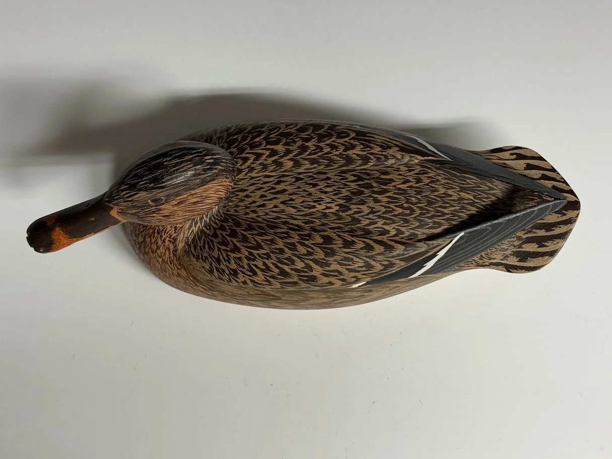 SnyderMallard3.jpg