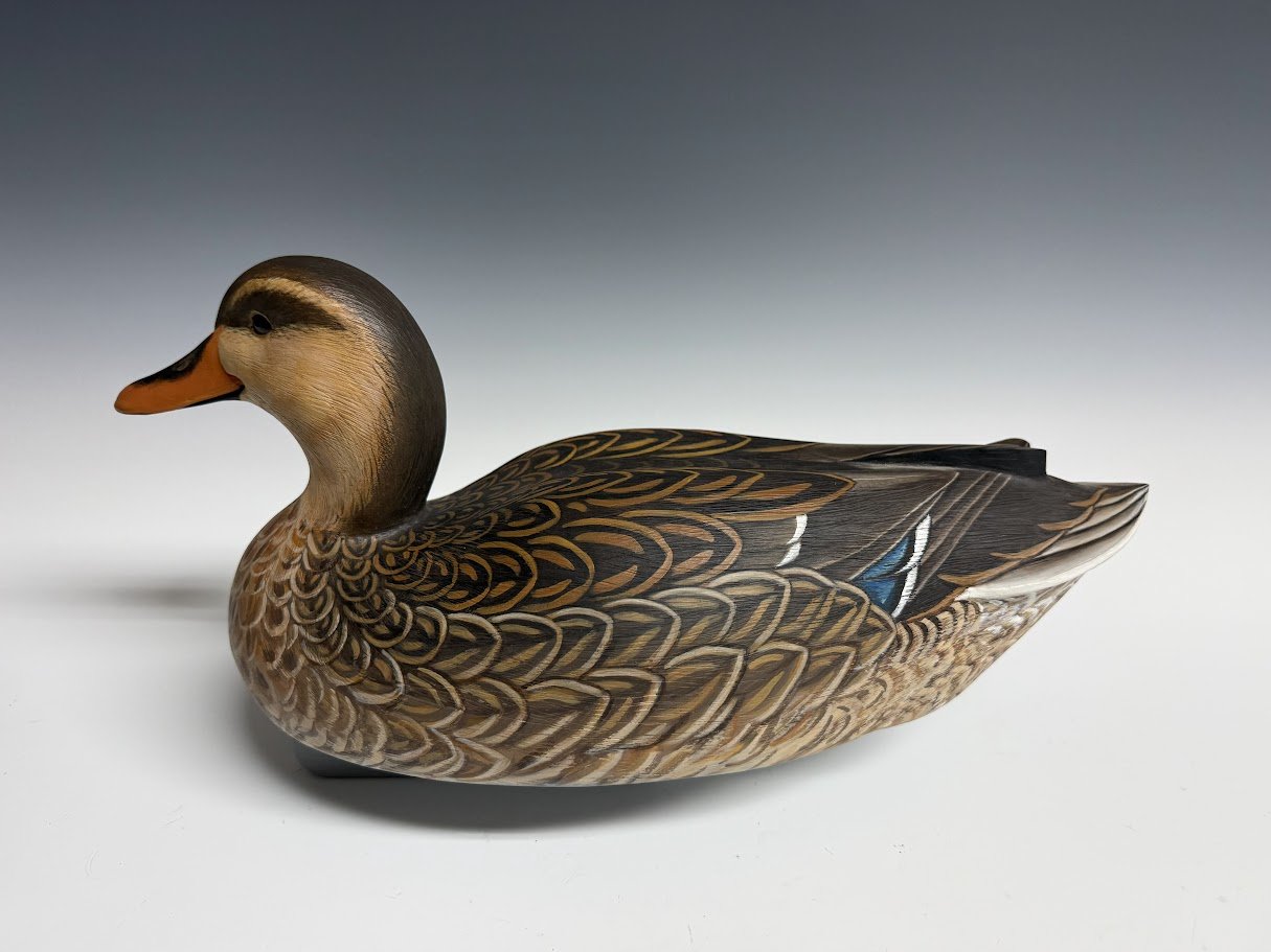 9_2_26_CarsonMallard2.jpg