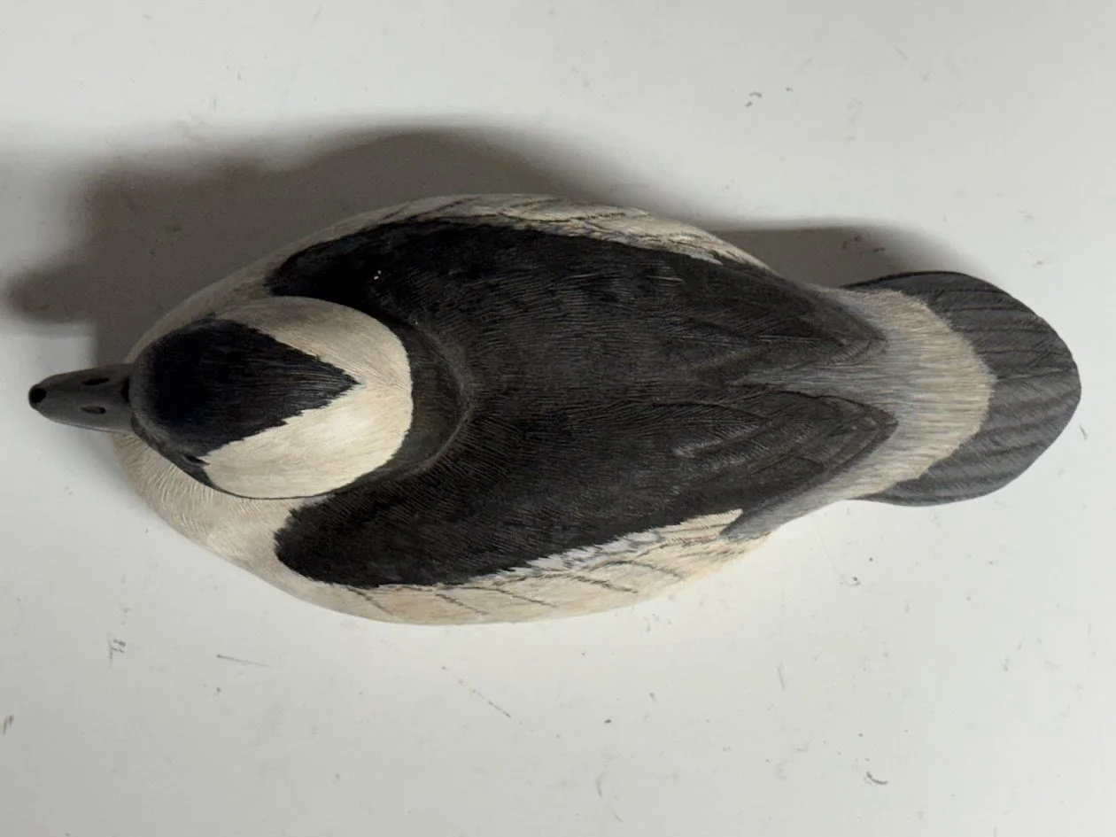 4_21_26_BobPetersenBufflehead3.jpg