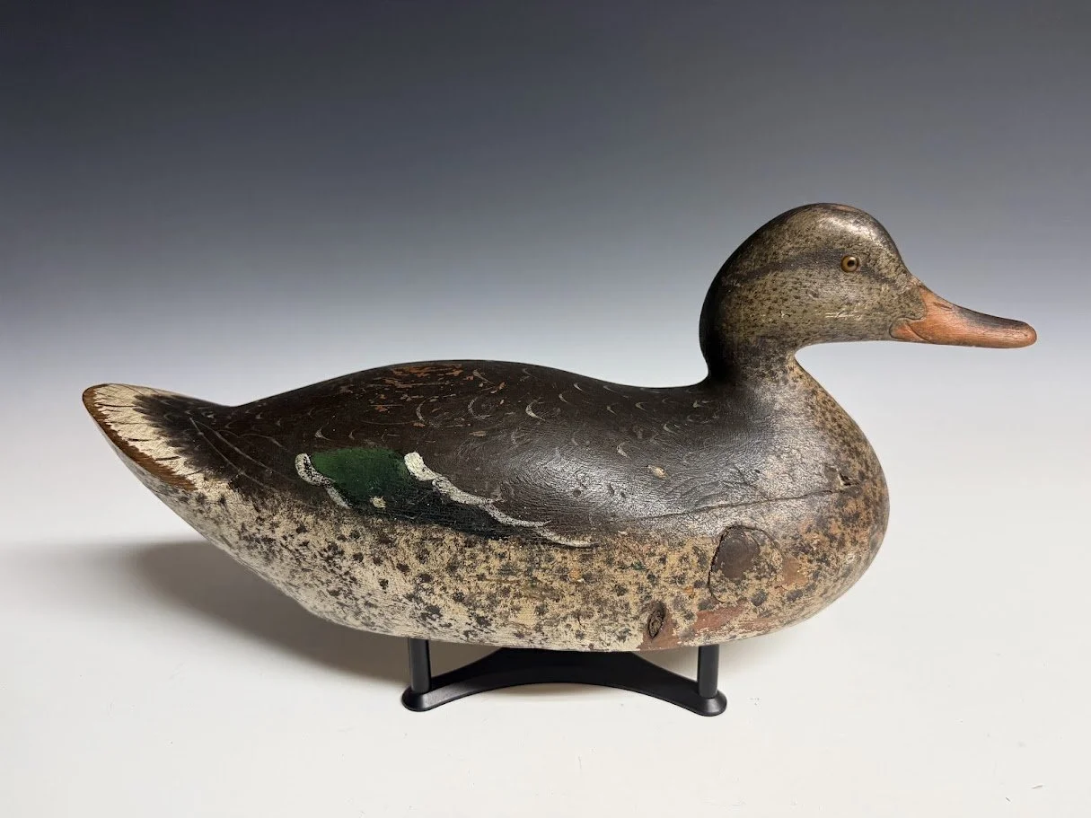 8_28_26_MasonPremierMallard1.jpg