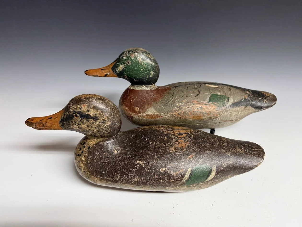 5_15_26_MallardBBPair2.jpg