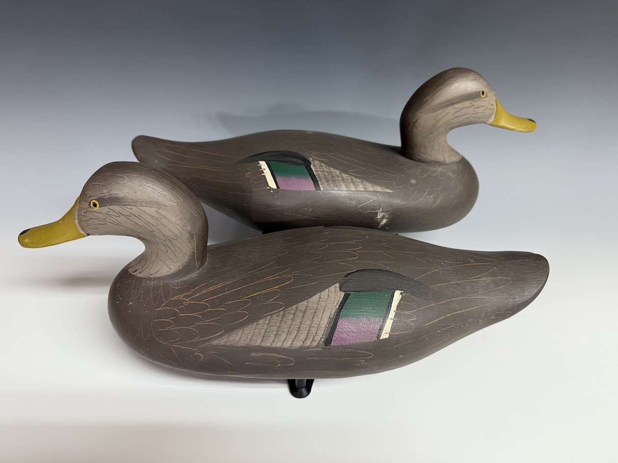 12_10_24_MitchellBlackDuckPair2.jpg