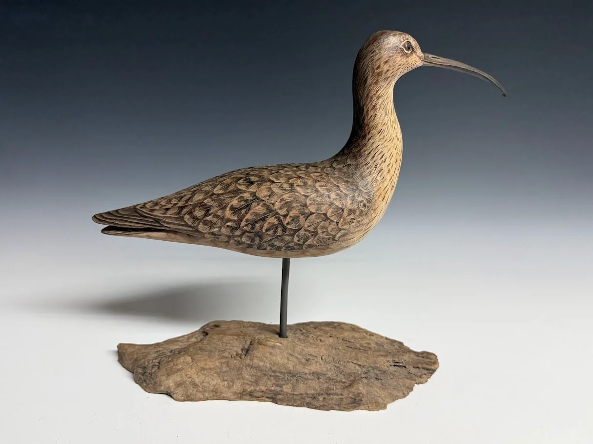 9_10_26_Troon_Curlew_106_2.jpg