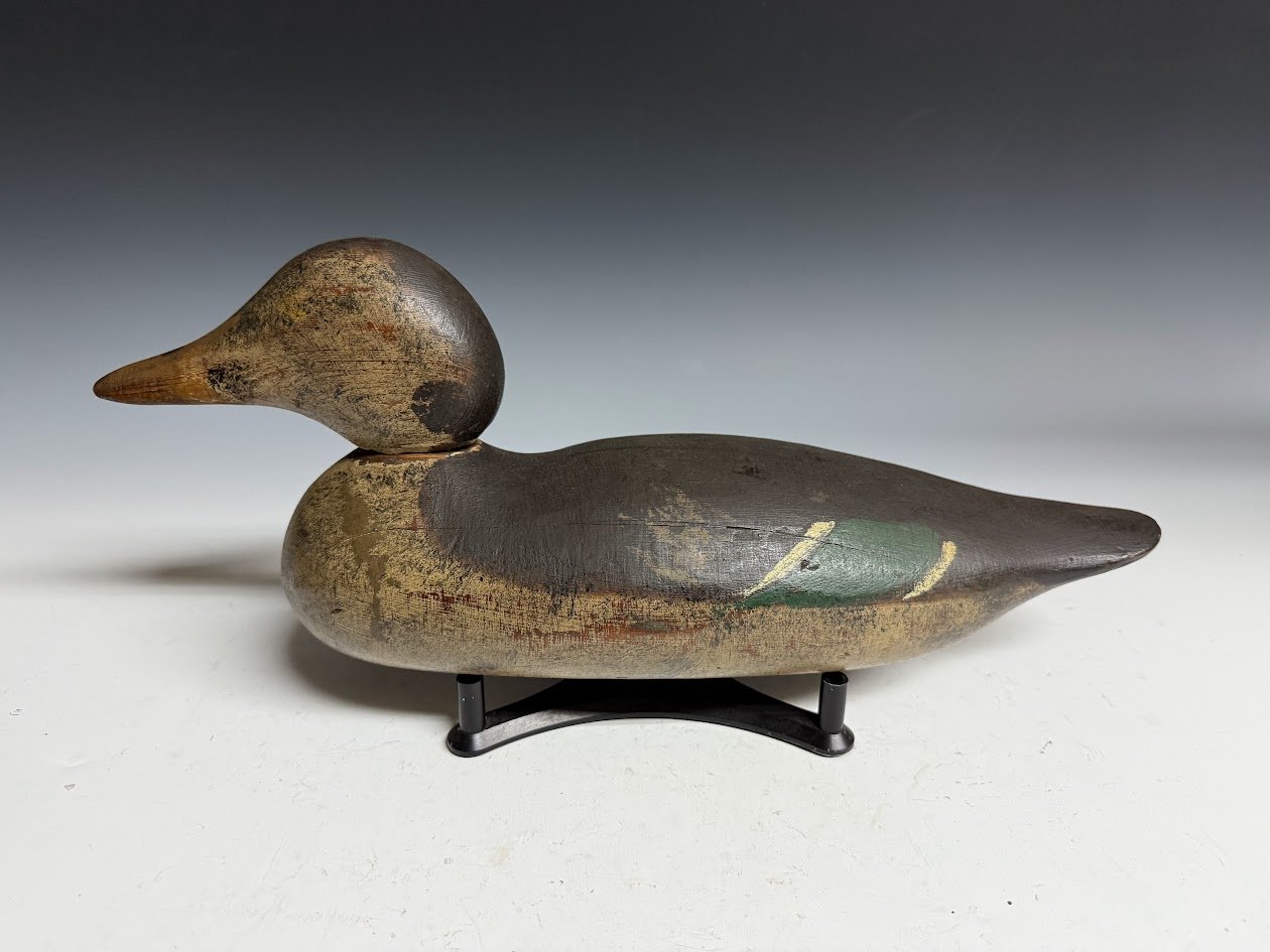 11_2_24_peyemallard2.jpg