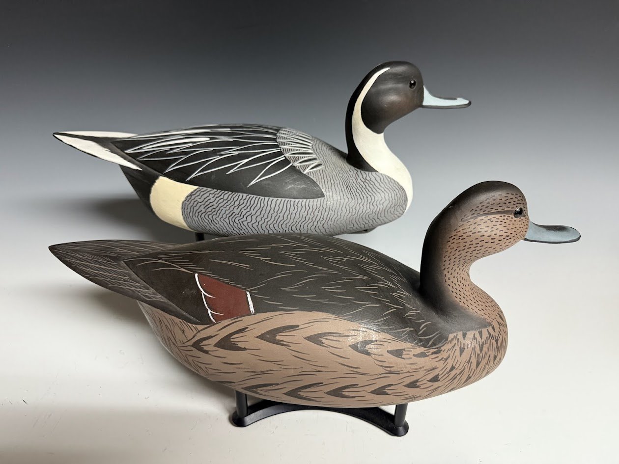 7_18_25_AllsoppPintails2.jpg