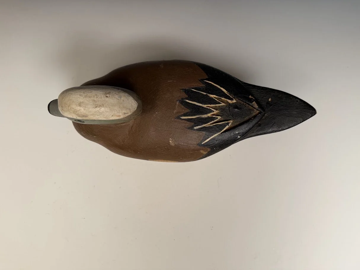 10_9_26_CrowellWigeon3.jpg