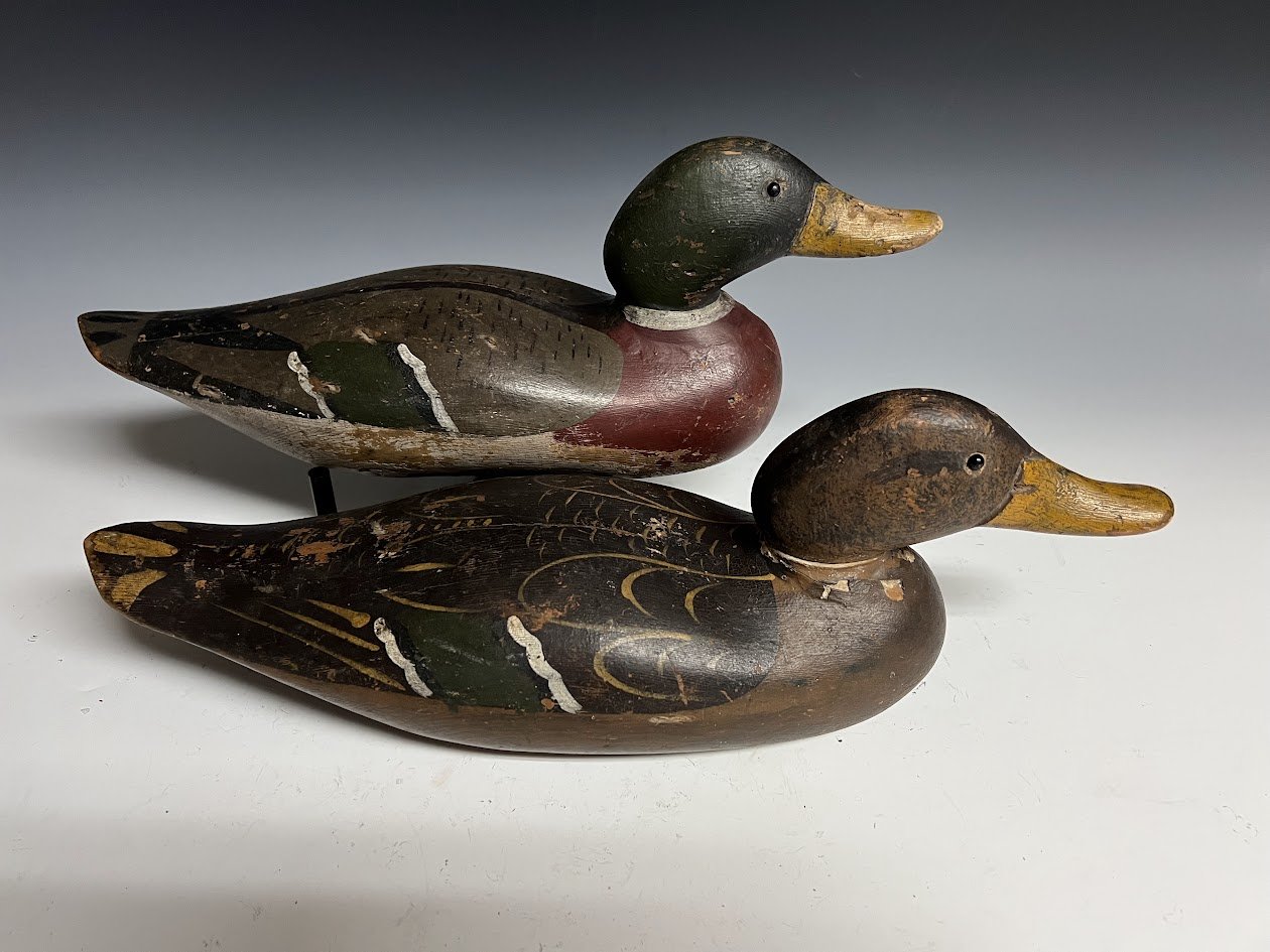 10_11_24_DodgeMallards1.jpg