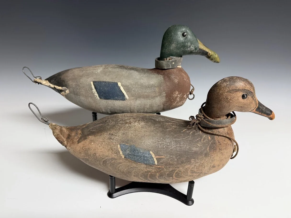 7_24_26_LefeverMallardPair1.jpg