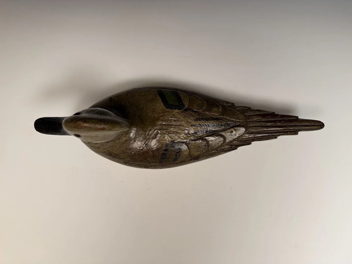10_8_26_LBUpintail3.jpg