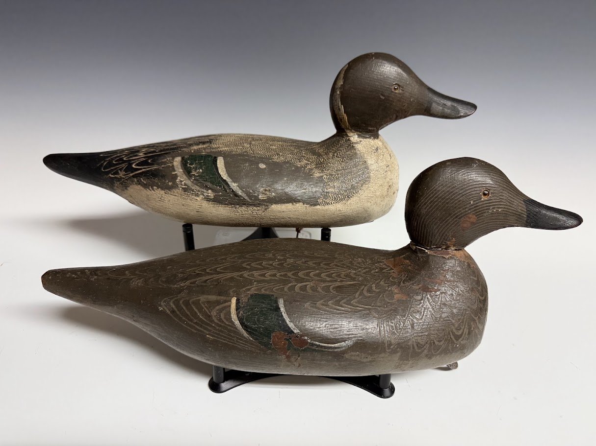 10_10_26_TulePintails1.jpg