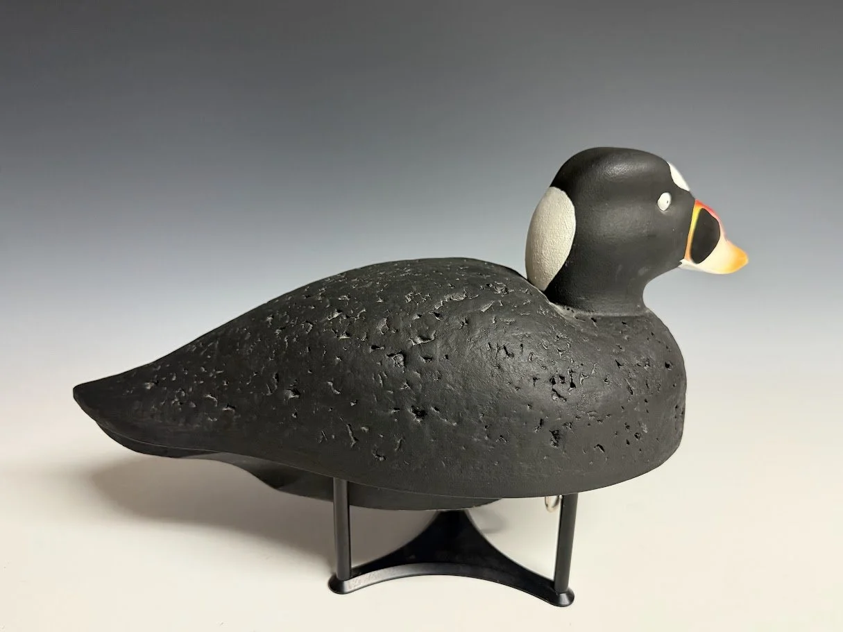 8_29_26_NewellScoter2.jpg