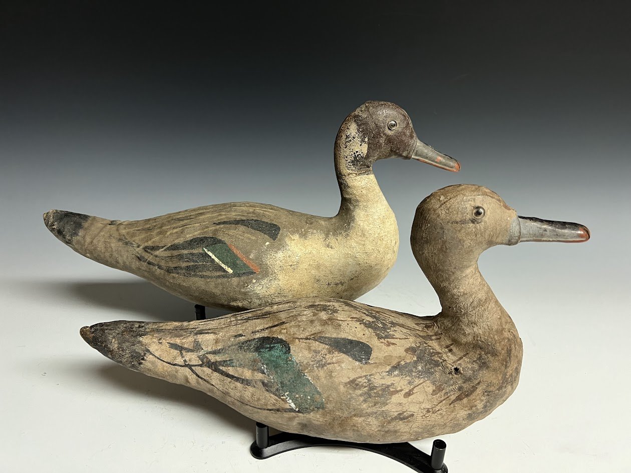 8_13_24_ScottPintails2.jpg