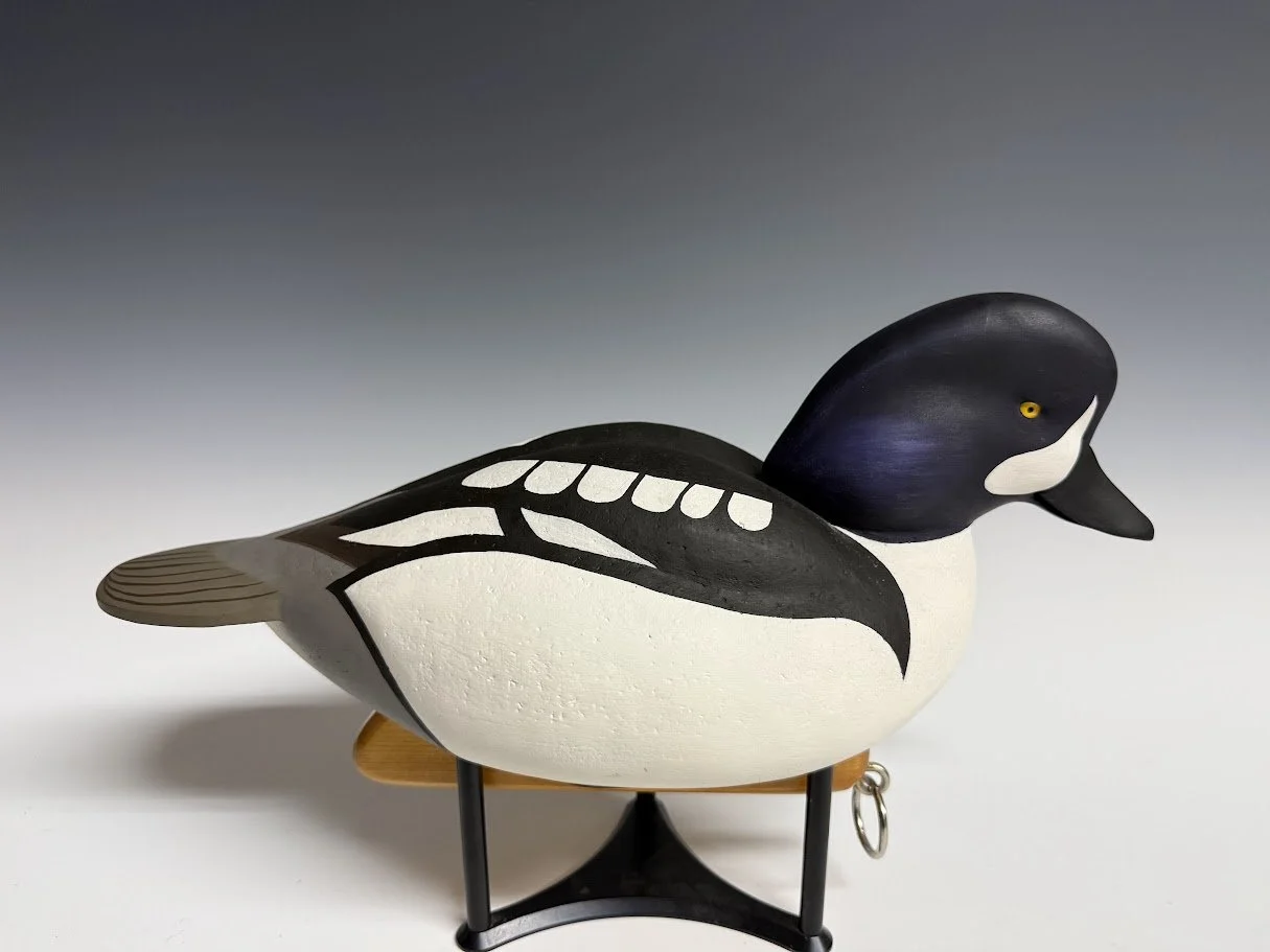 9_2_26_WerdickGoldeneye1.jpg
