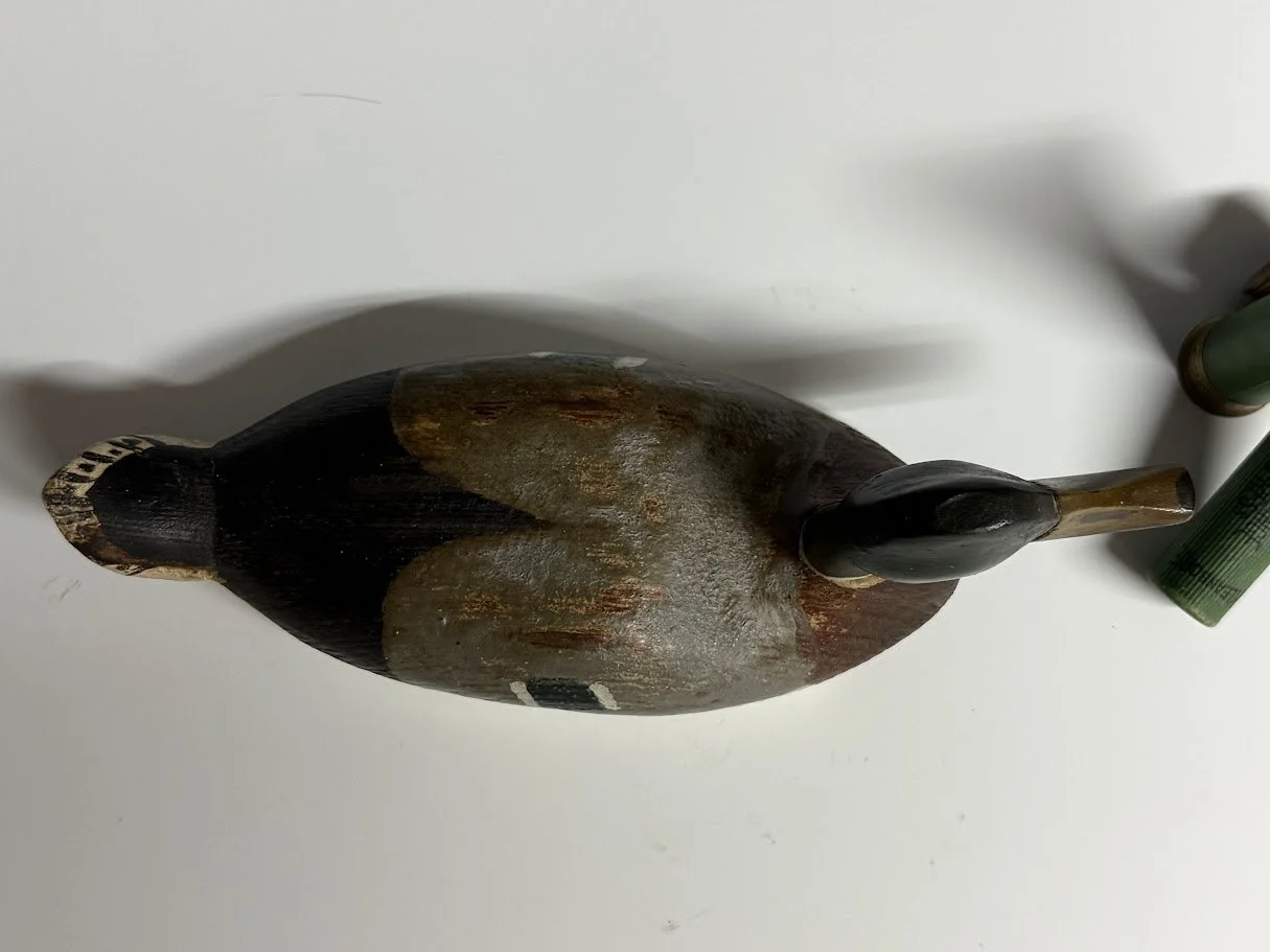 7_24_26_JensenMallard3.jpg