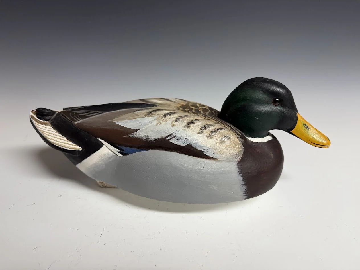 6_8_26_SnyderMallard1.jpg