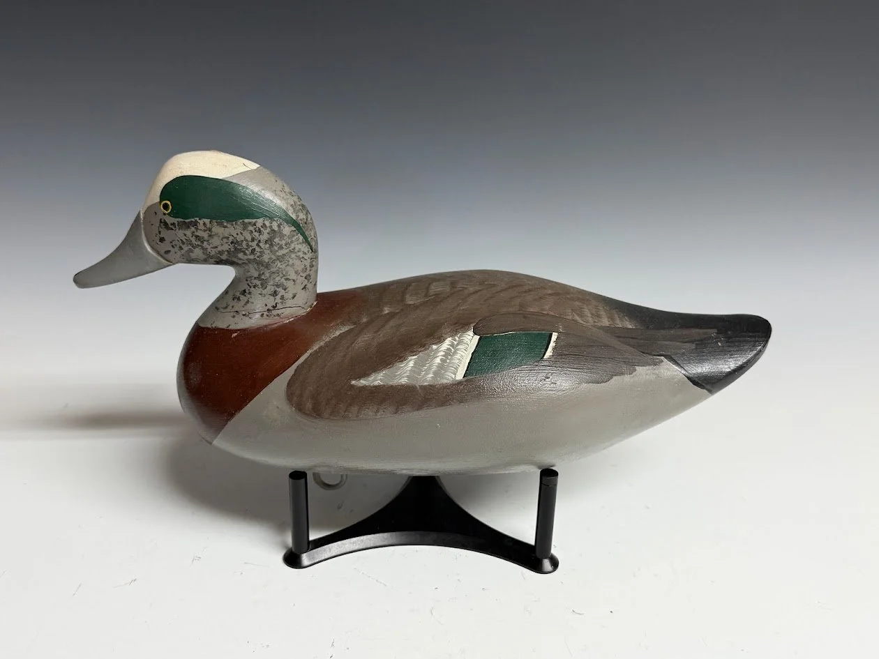 5_12_26_MMwigeon2.jpg