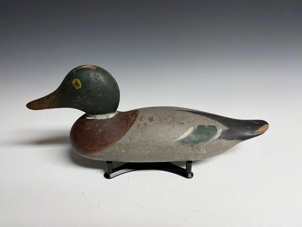 5_19_26_MasonMallardThree_2.jpg