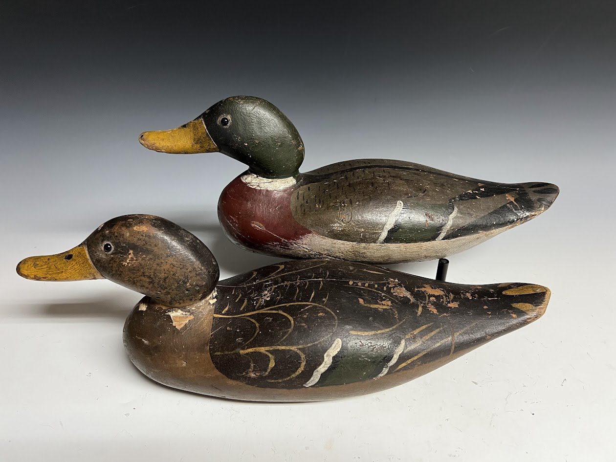 10_11_24_DodgeMallards2.jpg