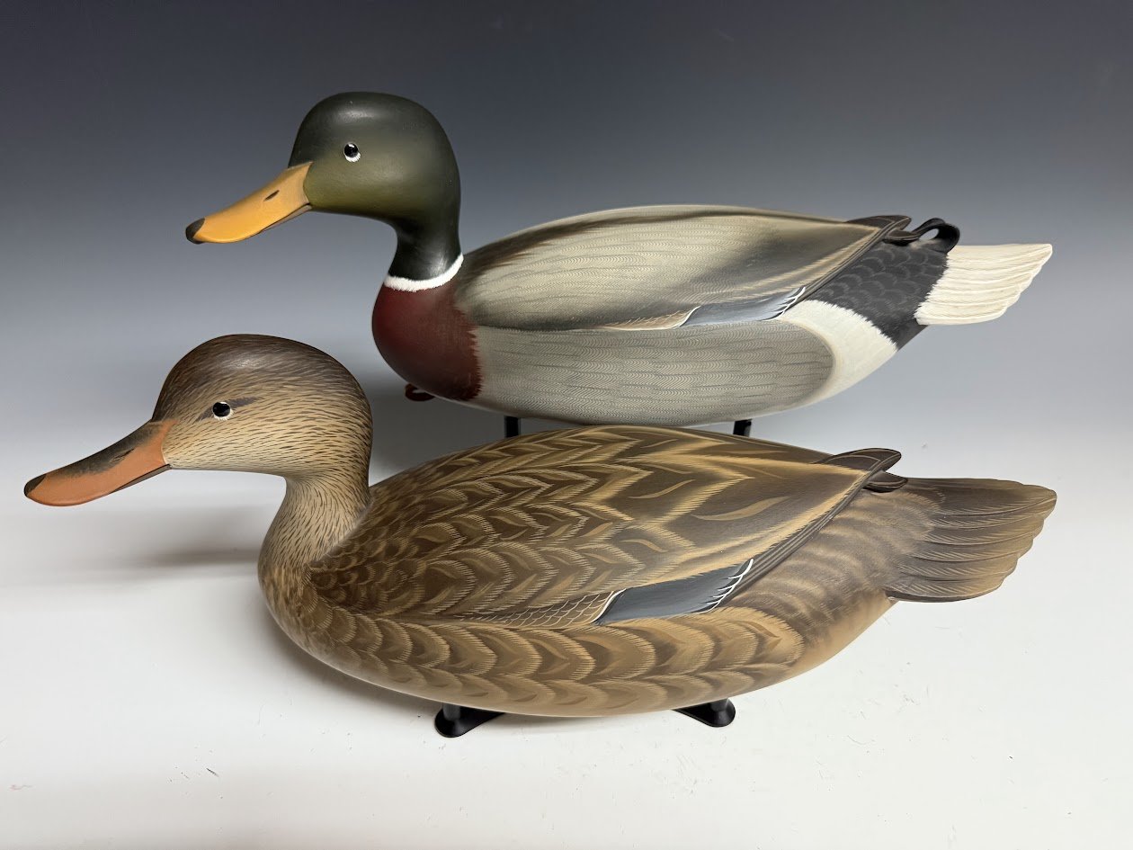 7_7_25_StrunkMallards1.jpg