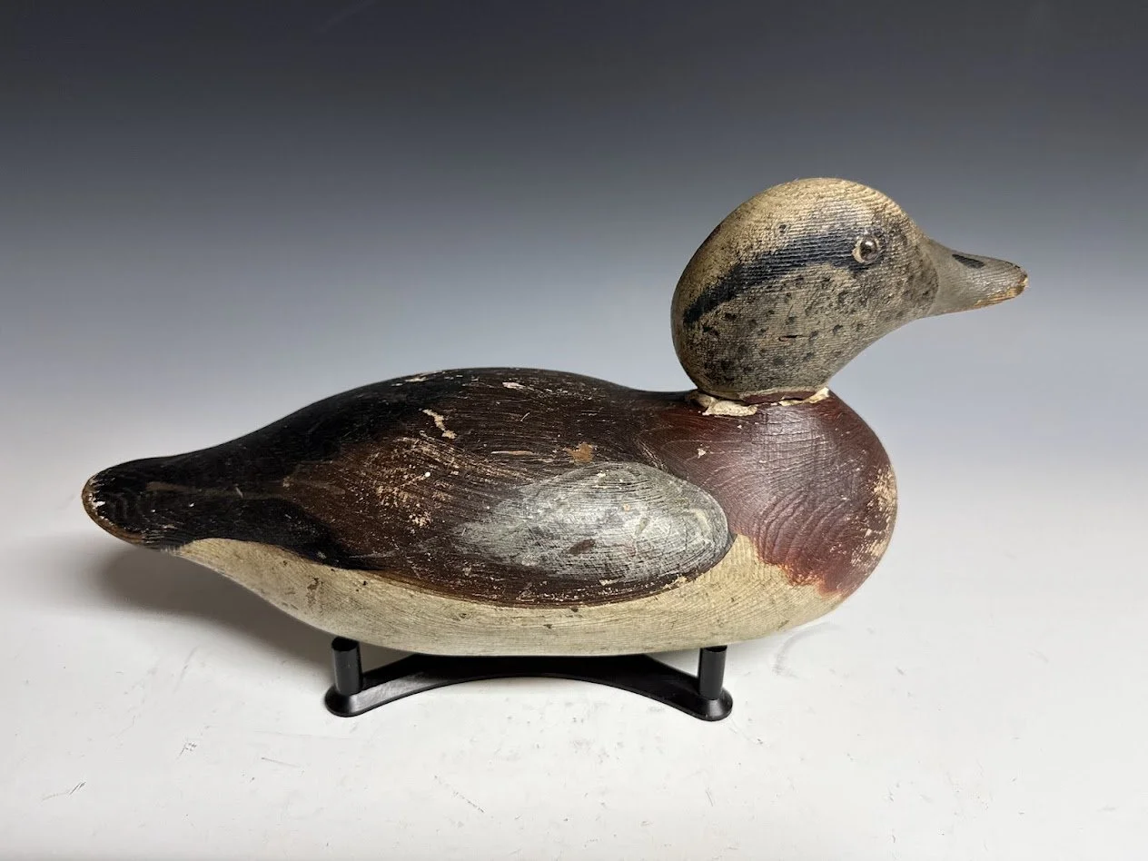 6_8_26_MasonWigeon1.jpg