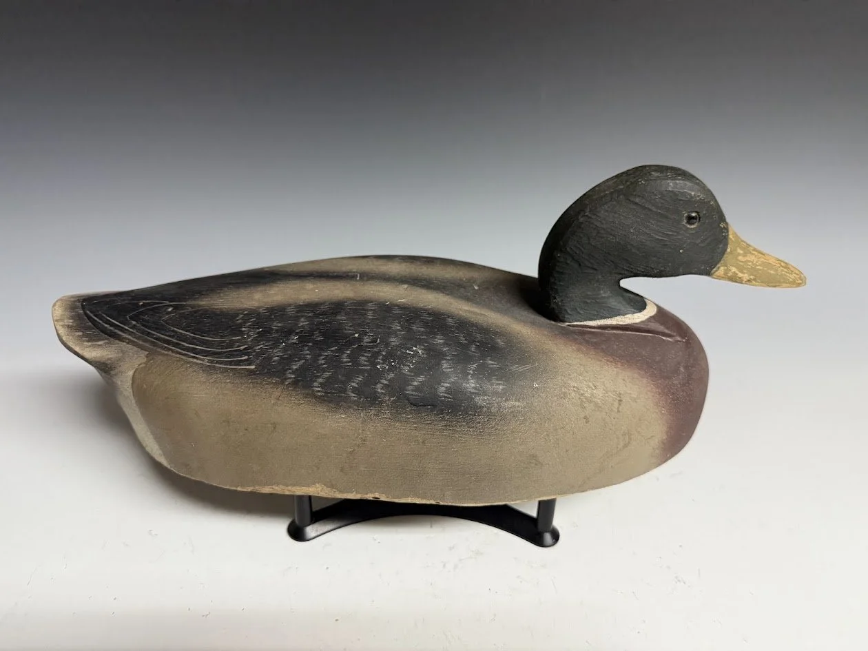 7_18_25_WildfowlerMallardDrake1.jpg