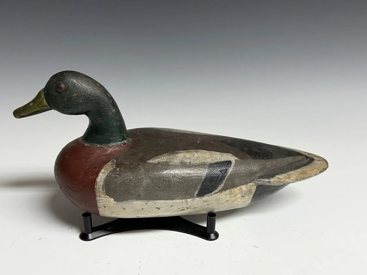 4_18_26_ReisingerMallard2.jpg