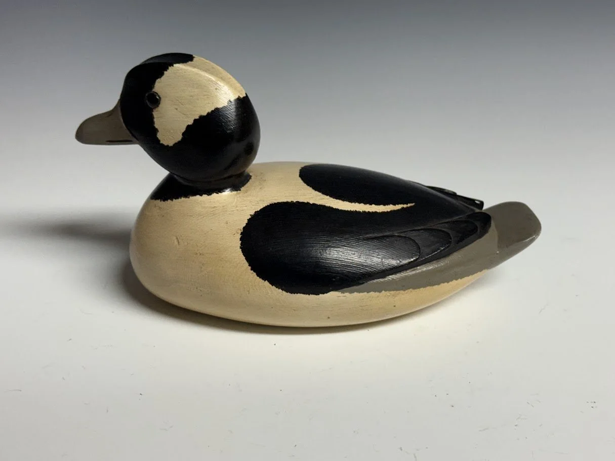 9_10_26_DelSmithBufflehead_43_2.jpg