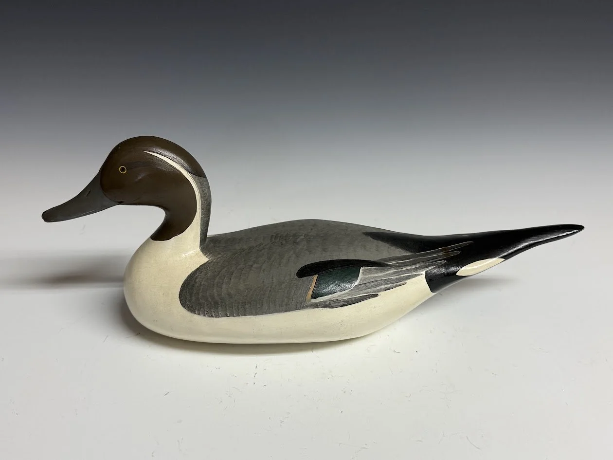 5_12_26_MMPintail2.jpg