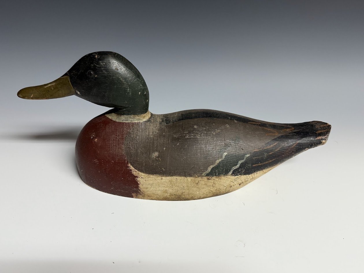 1_10_24_WDMallard2.jpg