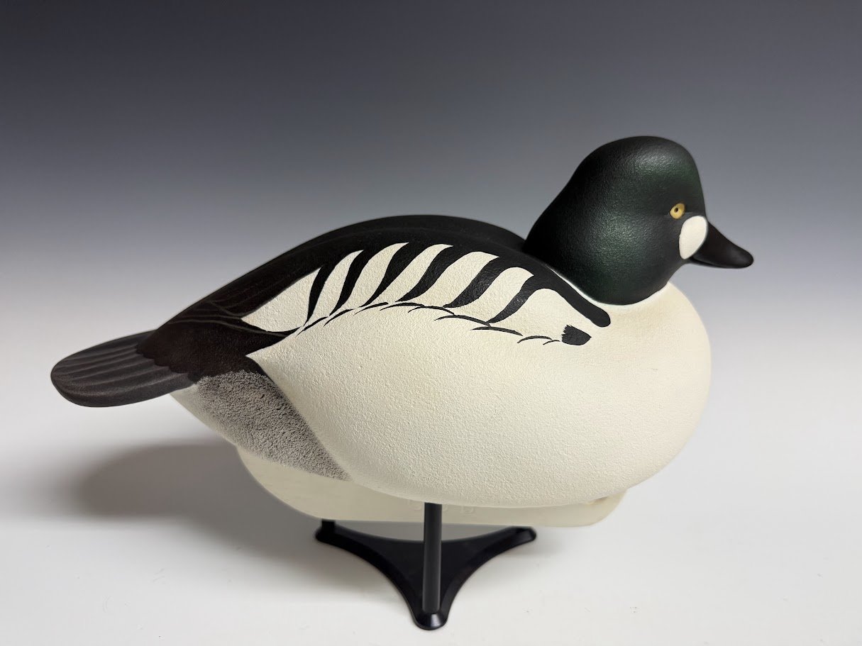 8_27_26_GJB_Goldeneye2.jpg