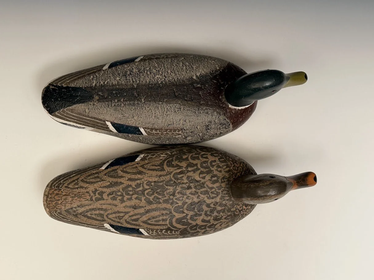 10_12_26_GoudswardMallards4.jpg